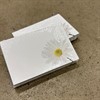 KORT 6X9 CM WHITE DAISY 1X50